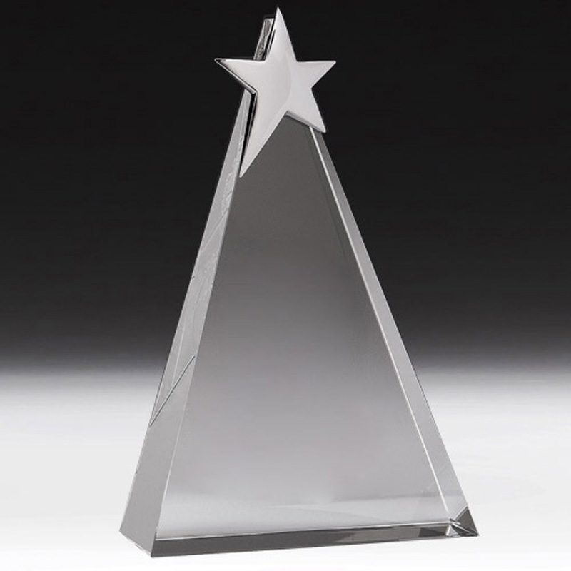 Arlington Triangle Star Award